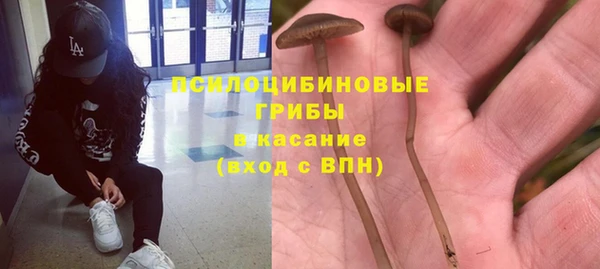 первитин Дмитриев