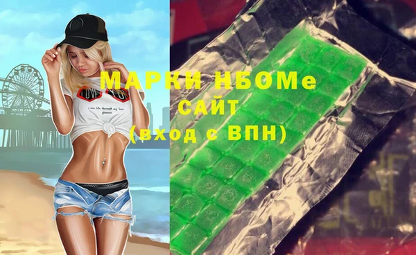 мдпв Елабуга