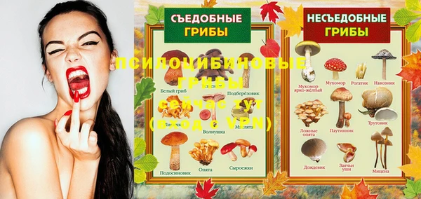 мдпв Елабуга