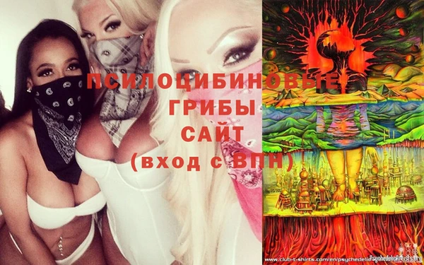 СК Заводоуковск