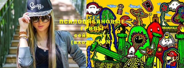 ALPHA-PVP Елизово