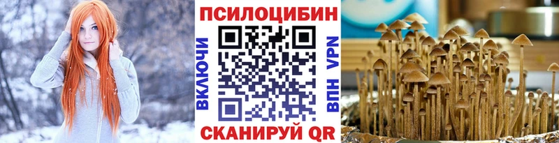 где купить наркоту  Кизилюрт  Галлюциногенные грибы Magic Shrooms 